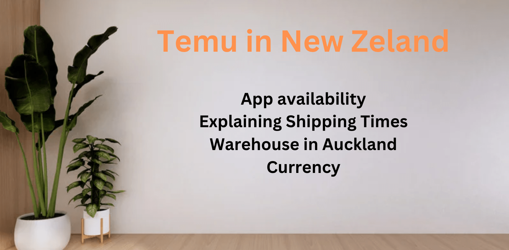 Detailed guide about Temu app in New Zeland